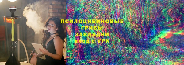 прущие крисы Белокуриха