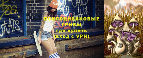 прущие крисы Белокуриха