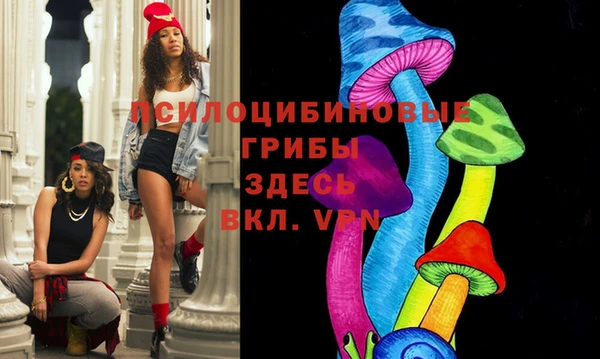прущие крисы Белокуриха