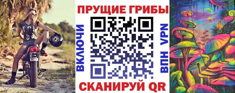 Галлюциногенные грибы ЛСД  где продают   blacksprut зеркало  Калуга 